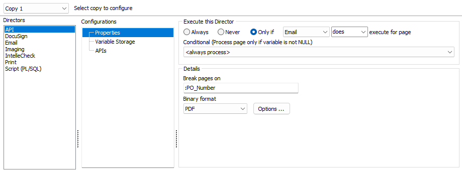 The APIDirector Properties screen. Here you can format when to execute the director, configure page breaks, and select document format.